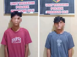 Pelaku Pelemparan Truk