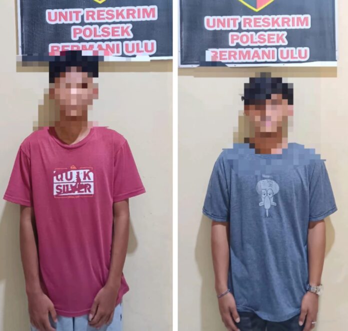Pelaku Pelemparan Truk