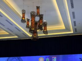 Wagub Bengkulu, Mian Paparkan Rencana Penarikan Pajak Air Permukaan Sawit Dalam Raker APPSI Wagub Bengkulu, Mian
