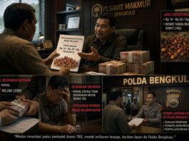 Manager Perusahaan Kelapa Sawit