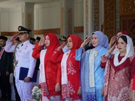 HUT ke-81 RI