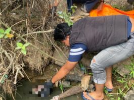 Jenazah Bayi Ditemukan Warga