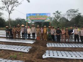 Dukung Ketahanan Pangan