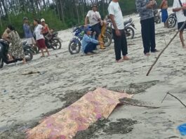 Ditemukan Mayat Pria di Pantai Rawa Bangun Muko-muko Ditemukan seorang mayat