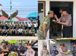 HUT Ke-81 TNI